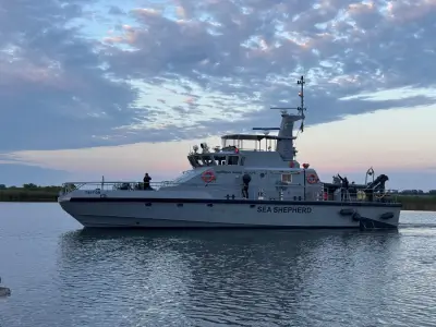Sea Shepherd patrouilliert vor Rügen nach toten Robben