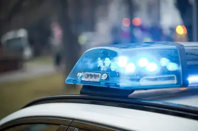 Sturm in Lübesse: Baum stürzt auf Lkw, Fahrer leicht verletzt