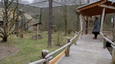 Tierpflegerin Sabrina Jung: Ihre Berufung im Vogelpark Marlow