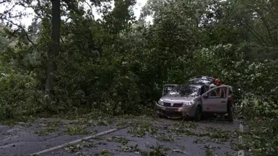 Unwetter: Eiche kippt vor Auto – zwei Bundesstraßen voll gesperrt