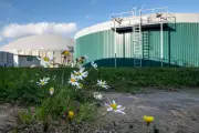 Bauernverband MV: Sorgen um Biogasanlagen durch auslaufende Förderung