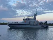 Mehr als 20 tote Robben vor Rügen: Sea Shepherd patrouilliert
