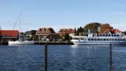 Vier Pferde auf Supermarkt-Parkplatz in Garz rufen Polizei auf den Plan