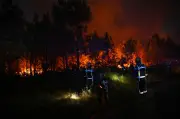 Waldbrände bei Bordeaux: Feuerwehr kämpft gegen neue Flammen