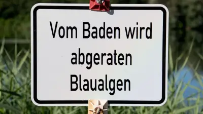 Blaualgen im Kummerower See: Warnung an mehreren Badestellen