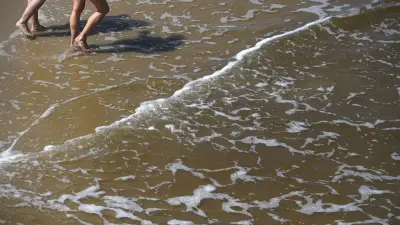 Blaualgen in Warnemünde: Gesundheitsamt rät vom Baden ab