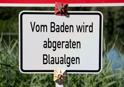 Blaualgen-Verdacht an der Ostsee: Gesundheitsamt rät vom Baden ab