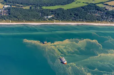 Blaualgen vor Warnemünde: Gesundheitsamt warnt vor dem Baden