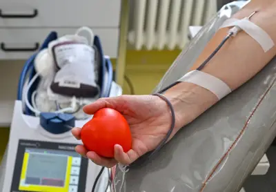 Blutreserven in MV knapp: DRK meldet Engpässe