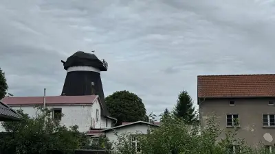 Denkmalgeschützte Holländerwindmühle in Friedland kommt unter den Hammer