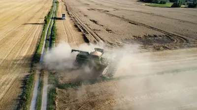 Ernte 2026: Niedrige Preise drücken auf die Bilanz der Bauern