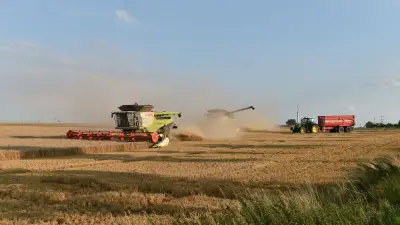 Erntezeit in Lüssow: Moderne trifft auf Tradition