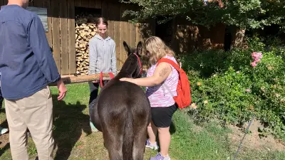 Eselwanderung in Bengerstorf: Zoé zeigt, wie Berührung stark macht