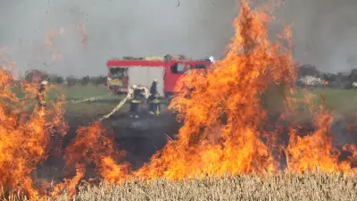 Feldbrand nahe Wüstenfelde: Funkenflug bei Baggerarbeiten