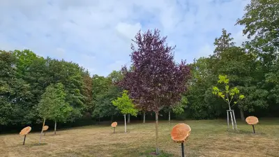 Friedhofsgebühren in Anklam könnten erheblich steigen
