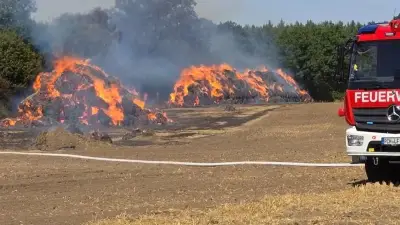 Großfeuer bei Möderitz: Wald gerettet, Strohballen kontrolliert abgebrannt