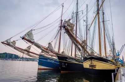 Hanse Sail 2026: 120 Schiffe aus sieben Nationen in Rostock erwartet