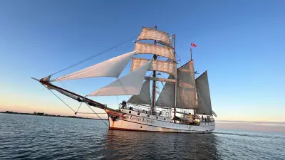 Hanse Sail 2026: Livestream zeigt Ausfahrt der Traditionssegler