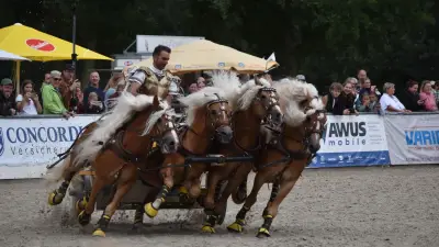 Hengstparaden in Redefin begeistern 4700 Gäste