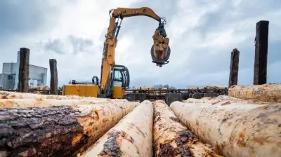 Holzmarkt in MV: Waldbesitzer und Betriebe im Gespräch