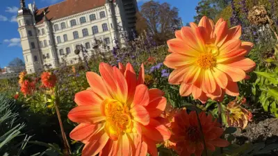 Hoteliers: „Das neue Publikum ist nicht preisempfindlich“