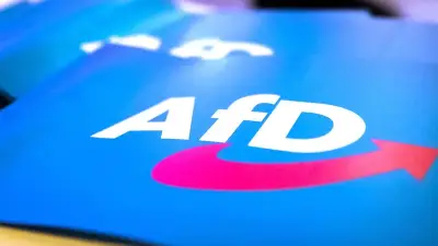 INSA-Chef: AfD kann Platz eins halten, aber unter 40 Prozent