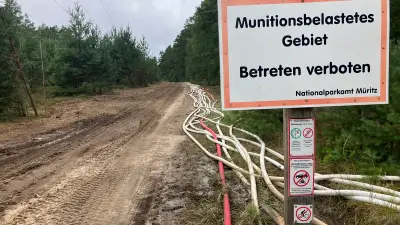 Kein Waldbrand bei Granzin: Feuerwehr bricht Einsatz ab