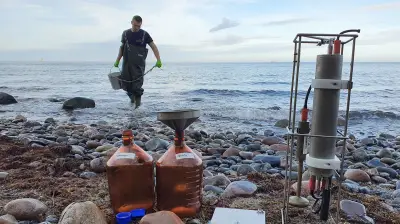 KI liest in Warnow-Wasser: Durchbruch bei Mikroben-Analyse