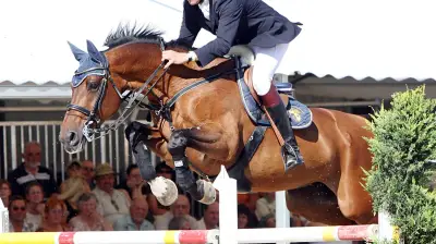 MeLa 2026 holt „Pferd + Hund“ zurück: Großer Preis mit 15.000 Euro