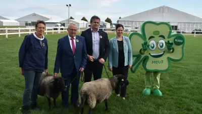 MeLa-Jubiläum: 872 Aussteller und 800 Tiere in Mühlengeez