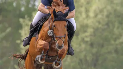 Mühlen Jumping: Reitsportfest in Woldegk am Wochenende