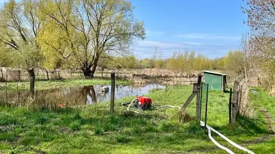 Millimeter vor Flutung: Starkregen bringt Röbel unter Zugzwang