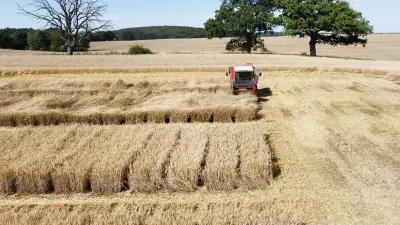 Mini-Mähdrescher: Kleine Erntemaschinen für große Feldversuche