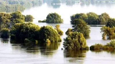 MV investiert 36,8 Millionen Euro in Elbe-Hochwasserschutz