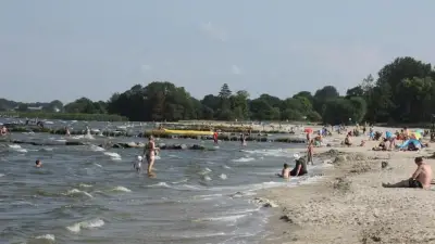 Oder-Katastrophe verhindert Besucherrekord am Haff-Strand