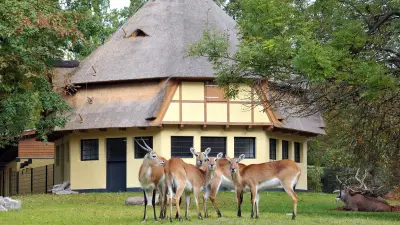 Ostsee-Zoo zeigt seine vergessene Vergangenheit bei Sonntagsführung