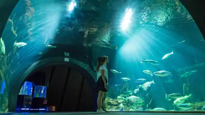Ozeaneum Stralsund feiert zehn Millionen Gäste