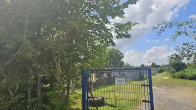 Polizeieinsatz in Anklamer Gartenanlage lässt viele Fragen offen