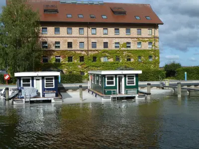 Schaumteppich auf Zierker See: Algen als Ursache