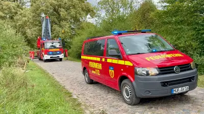 Schneise der Verwüstung: Sturm trifft Grabowhöfe und Vielist schwer