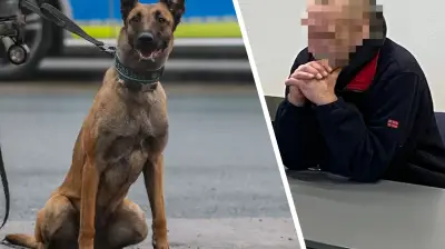 „Schrecken von Hohenmocker“: Erneuter Gerichtstermin, Bußgeld verhängt