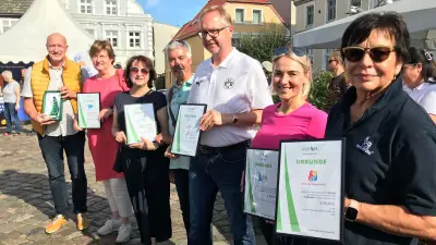 Schritte-Challenge 2026: Pasewalk führt, Anklam Schlusslicht