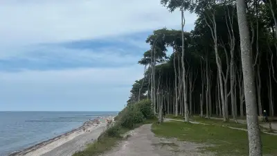 Sieben besondere Ostseestrände: Von Kreidefelsen bis zum Naturstrand