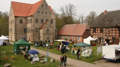 Sommermarkt in Ludwigsburg: Live-Musik und Kinderschminken
