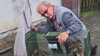 Tierschutzverein Neubrandenburg: „Die Lage ist dramatisch“