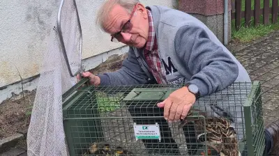 Tierschutzverein Neubrandenburg vor dem Aus: „Lage ist dramatisch“