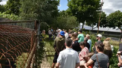 Trotz Hanse Sail: Über 300 Besucher feiern Tierschutz in Laage