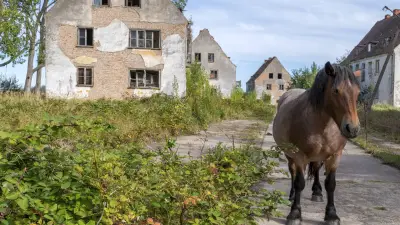 Verbotene Stadt an der Ostsee: DDR-Sperrgebiet verfällt hinter Stacheldraht