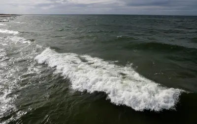 Wal vor Polens Ostseeküste gesichtet – gleiches Tier wie in MV?