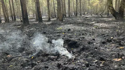 Waldbrand im Müritz-Nationalpark: Glutnester in Senke überwacht